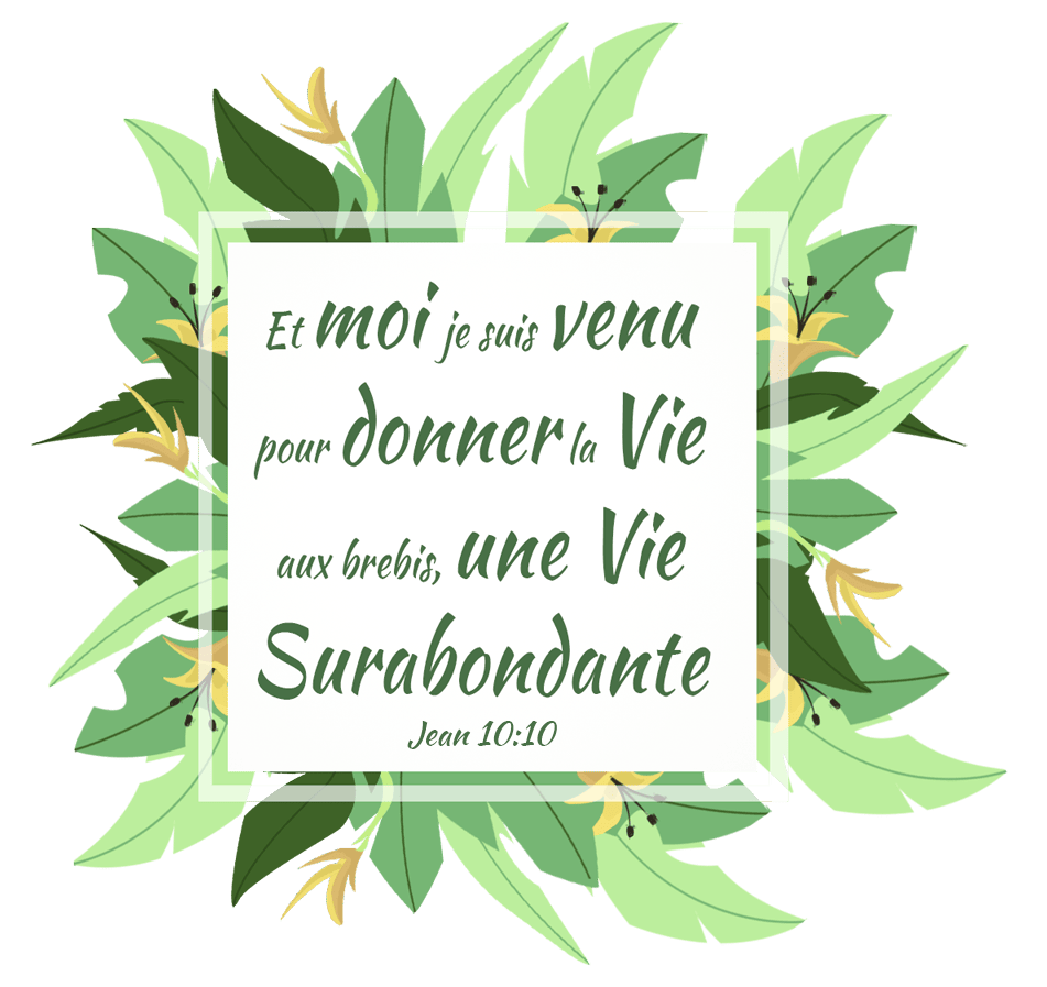 Bible, verset Jean 10:10